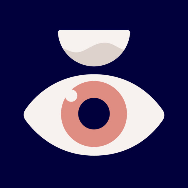 Contact lens fitting icon